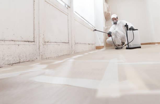 24/7 Emergency Attic Mold Removal experts in Callao, VA